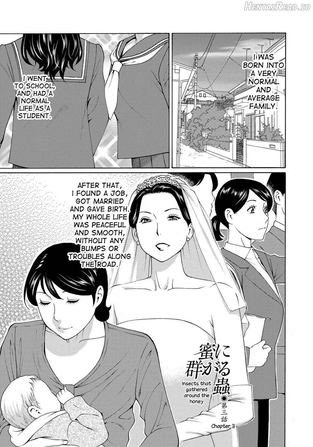 Mitsu ni Muragaru Mushi Chapter 2 - page 49