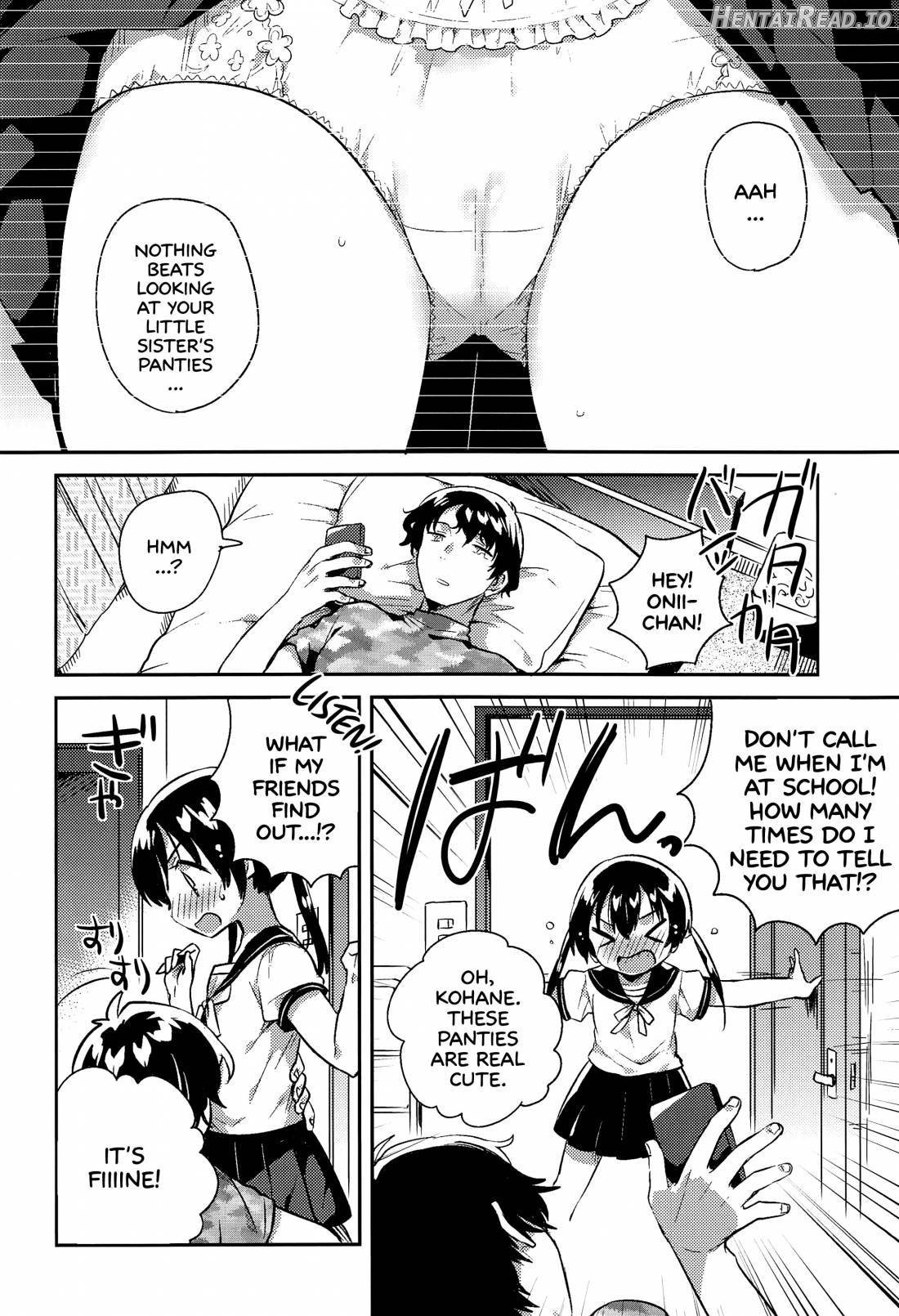 Imouto to Sex Suru nante Kimochi Warui Chapter 1 - page 5