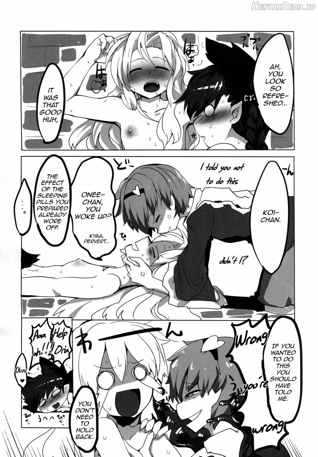 pet ~Kaenbyou Rin~ Chapter 2 - page 28