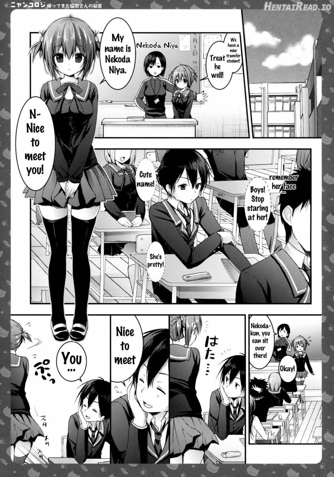 Nyancology -Kaettekita Nekota-san no Himitsu- Chapter 1 - page 5