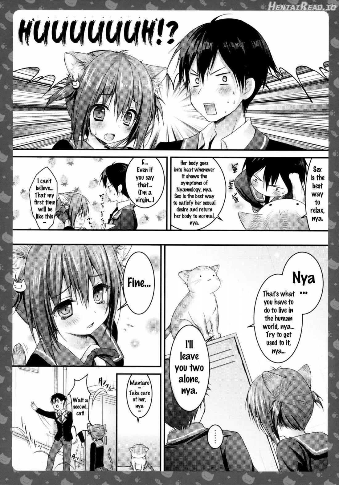 Nyancology -Kaettekita Nekota-san no Himitsu- Chapter 1 - page 12