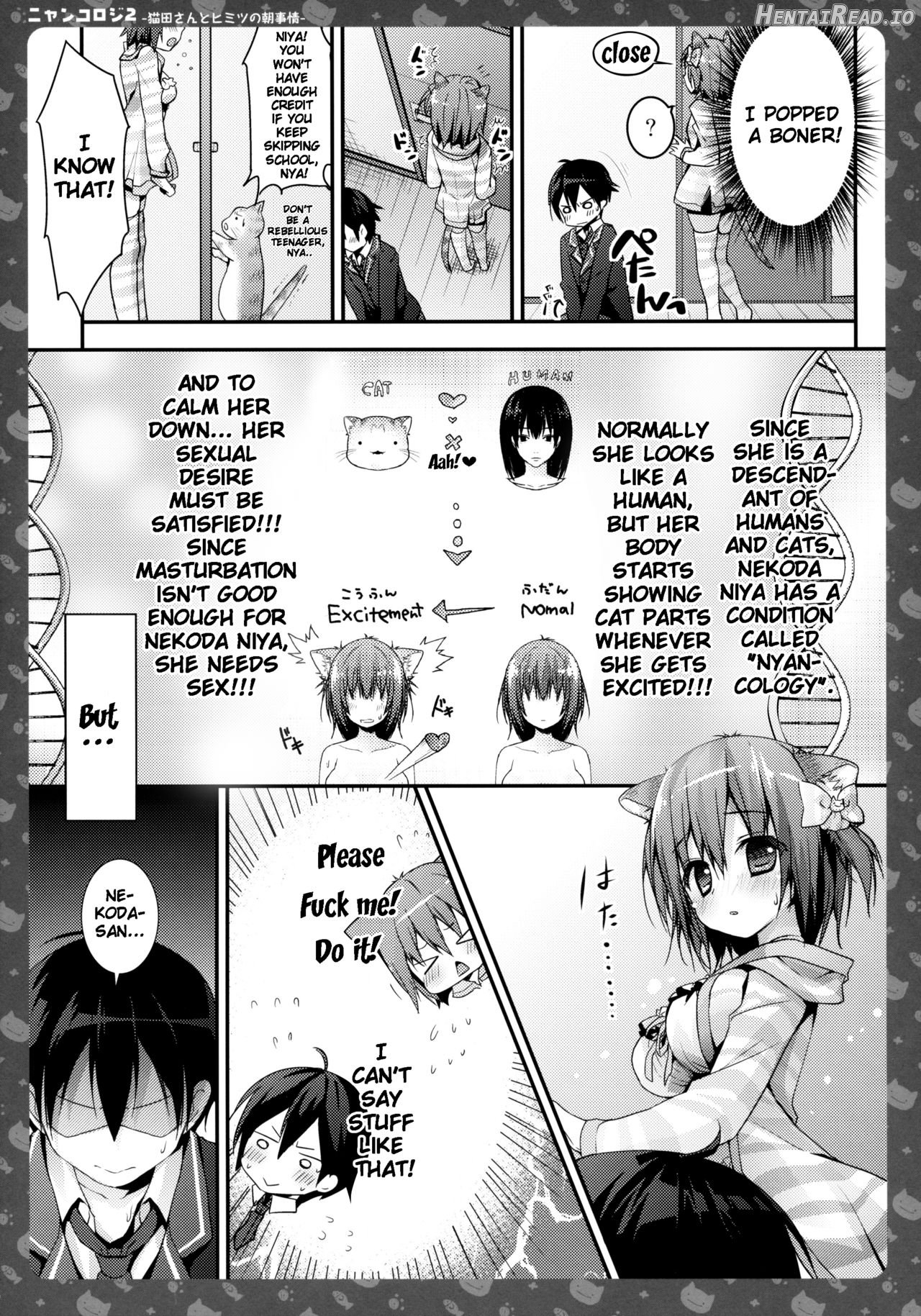 Nyancology -Kaettekita Nekota-san no Himitsu- Chapter 2 - page 12