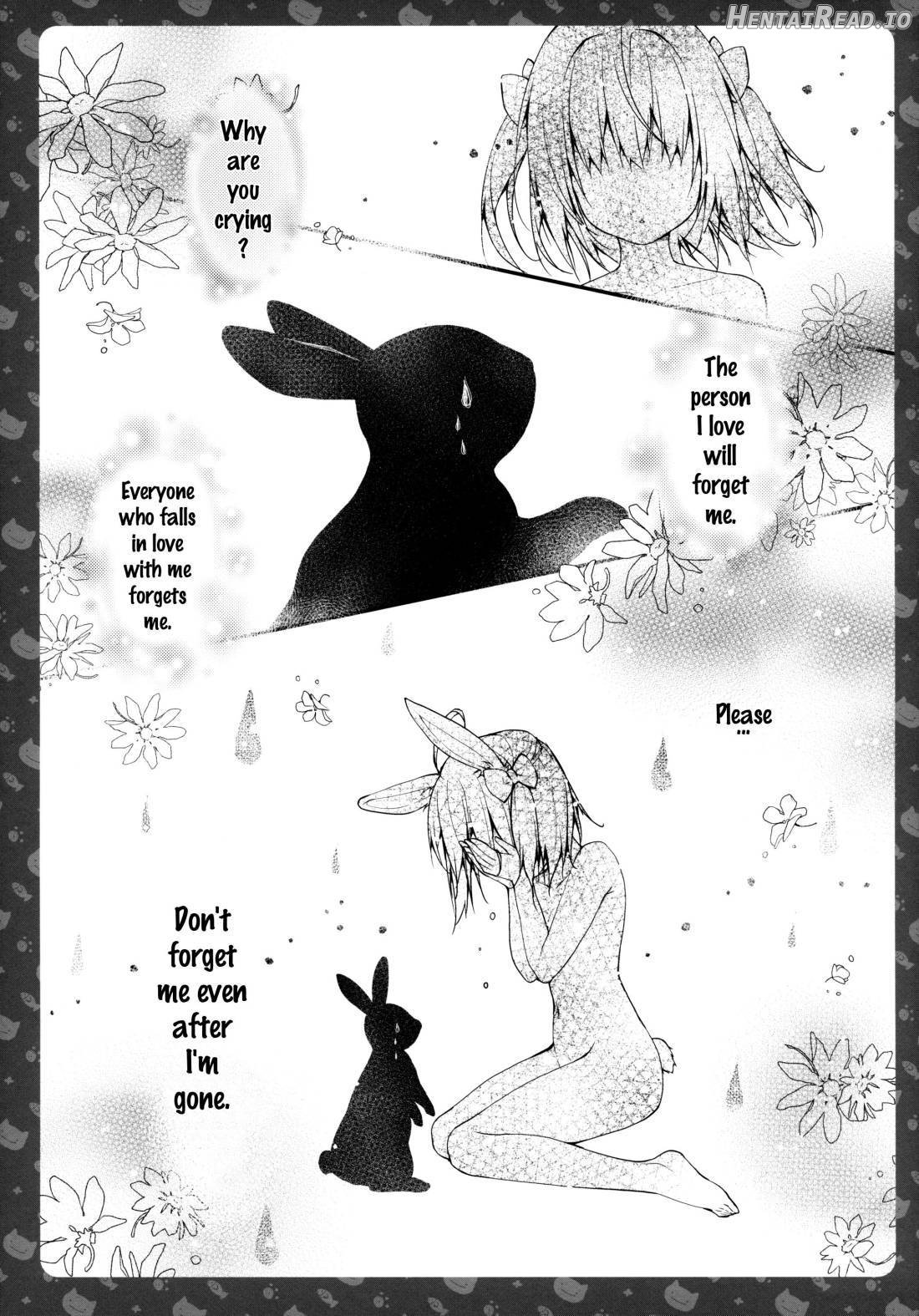 Nyancology -Kaettekita Nekota-san no Himitsu- Chapter 4 - page 3