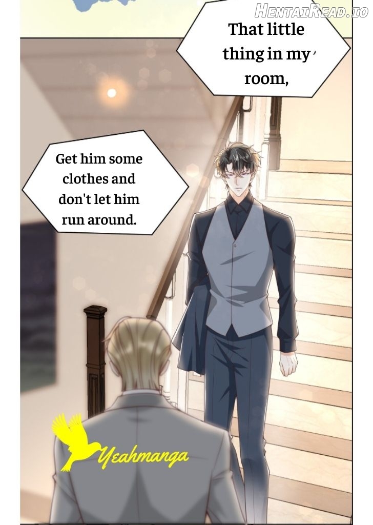 My Gangster Wife Is Always Against Me Chapter 4 - page 7