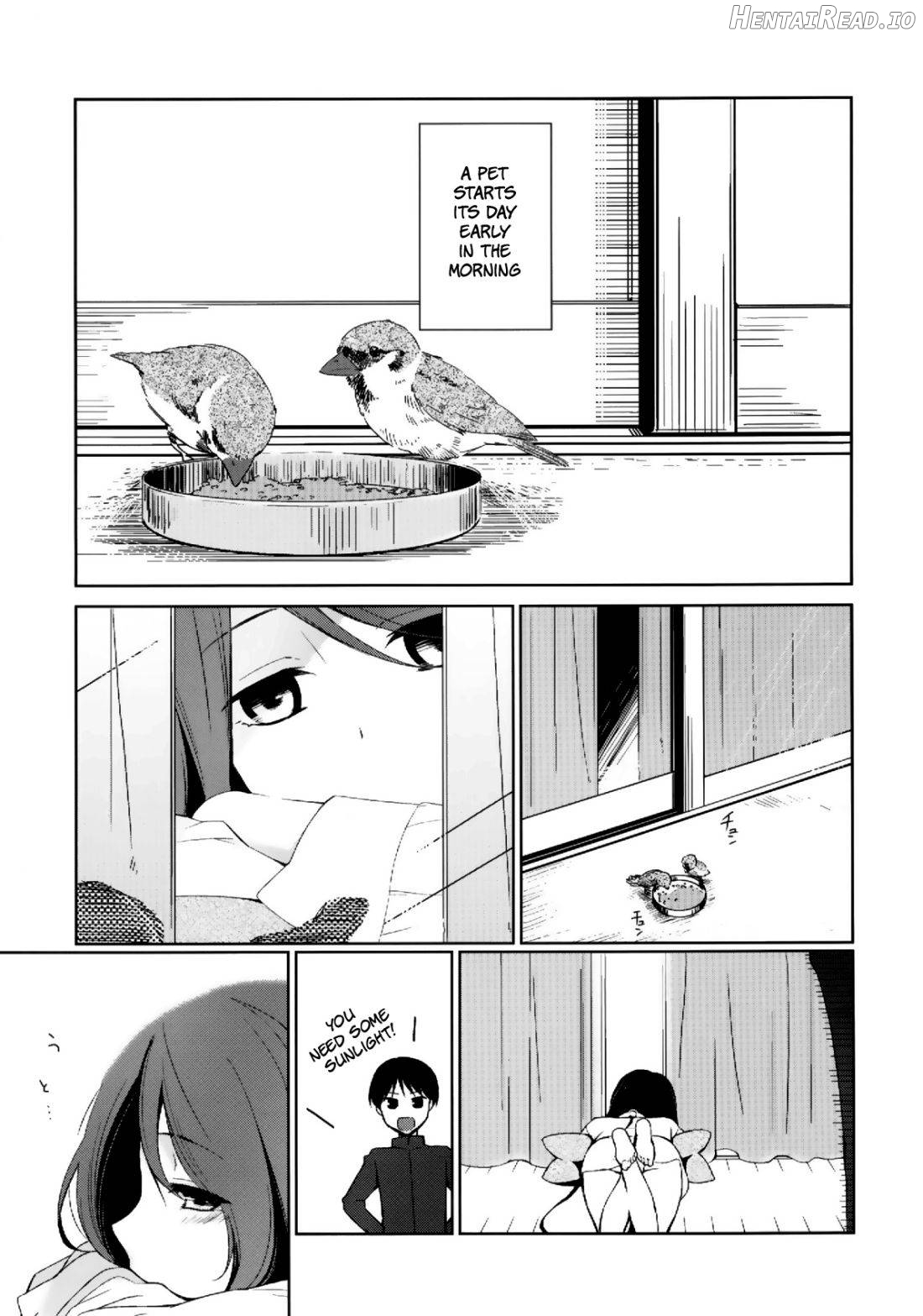 Kanojo no Pet Jinsei 3 Chapter 2 - page 2