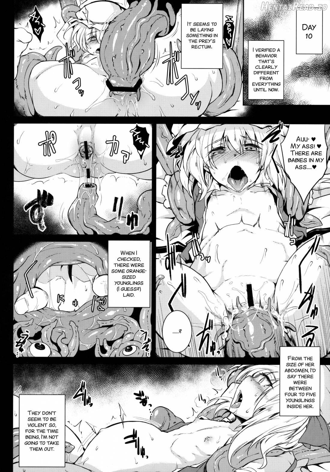 Gensou Enkou -Flandre- Shoku Chapter 4 - page 10