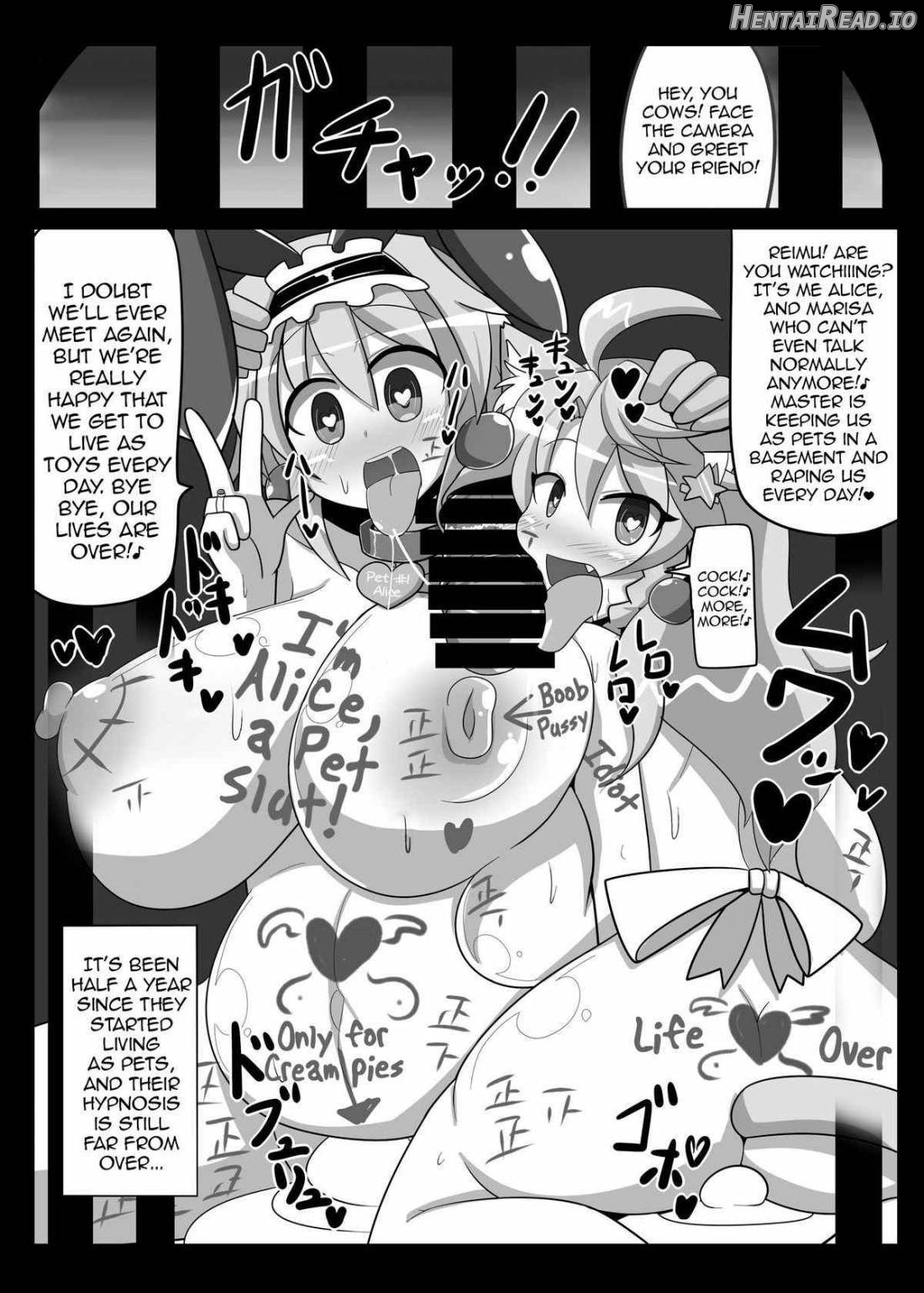 Saimin My Pet Touhou Alice Margatroid Chapter 1 - page 15