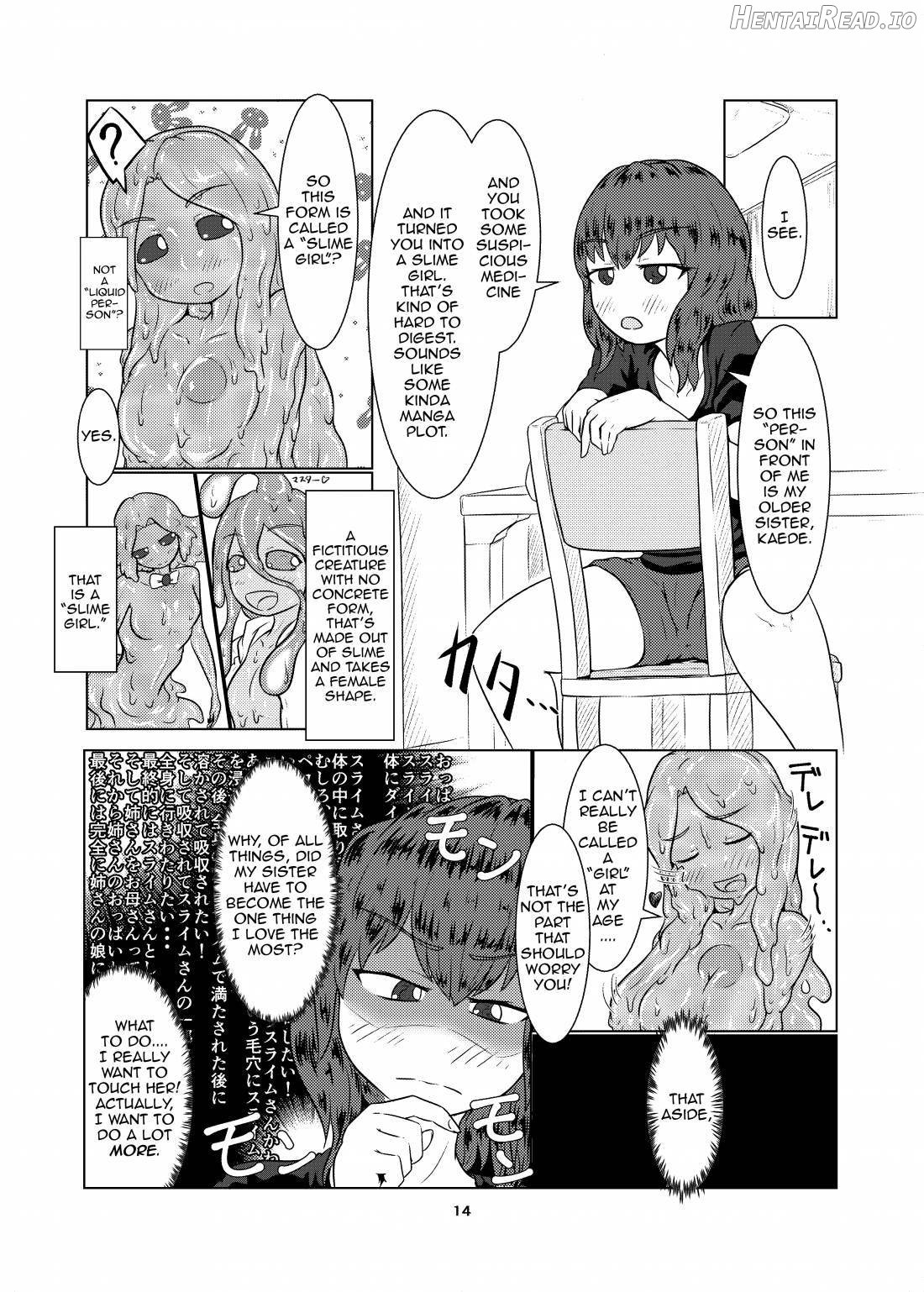 Watashi no Ane wa Slime Musume -1-nichime- Chapter 1 - page 13