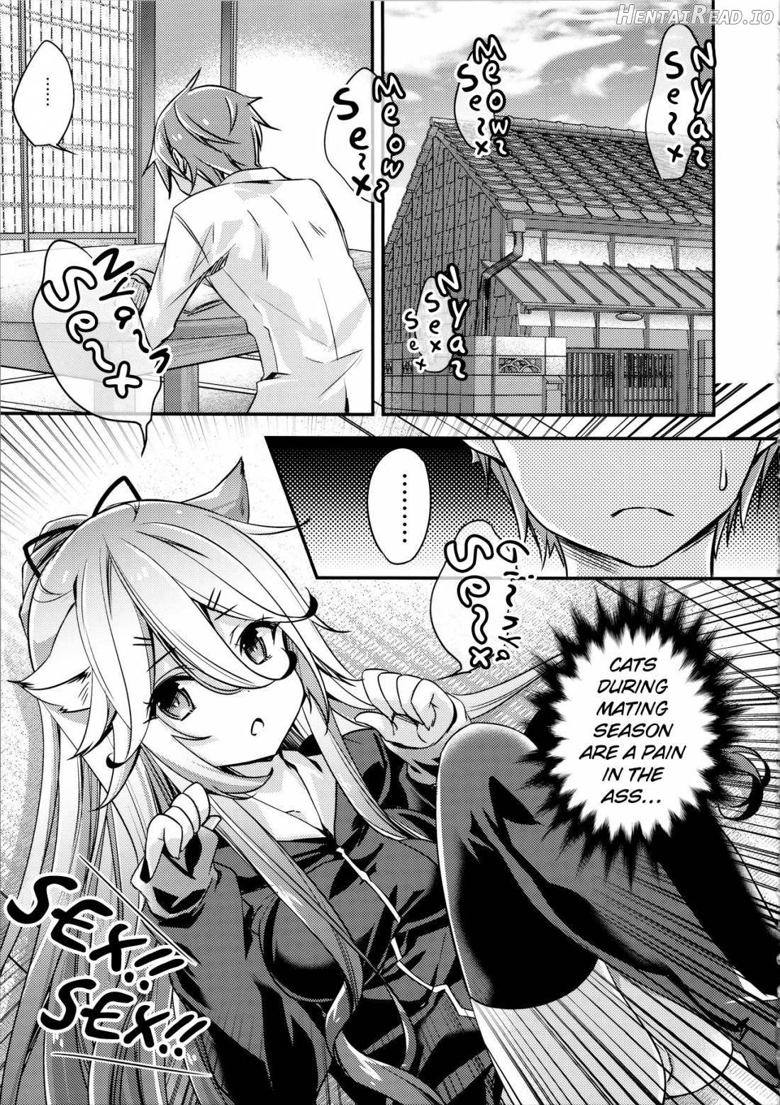 Yamakaze Nyanko wa Gaman ga Dekinai Chapter 1 - page 3