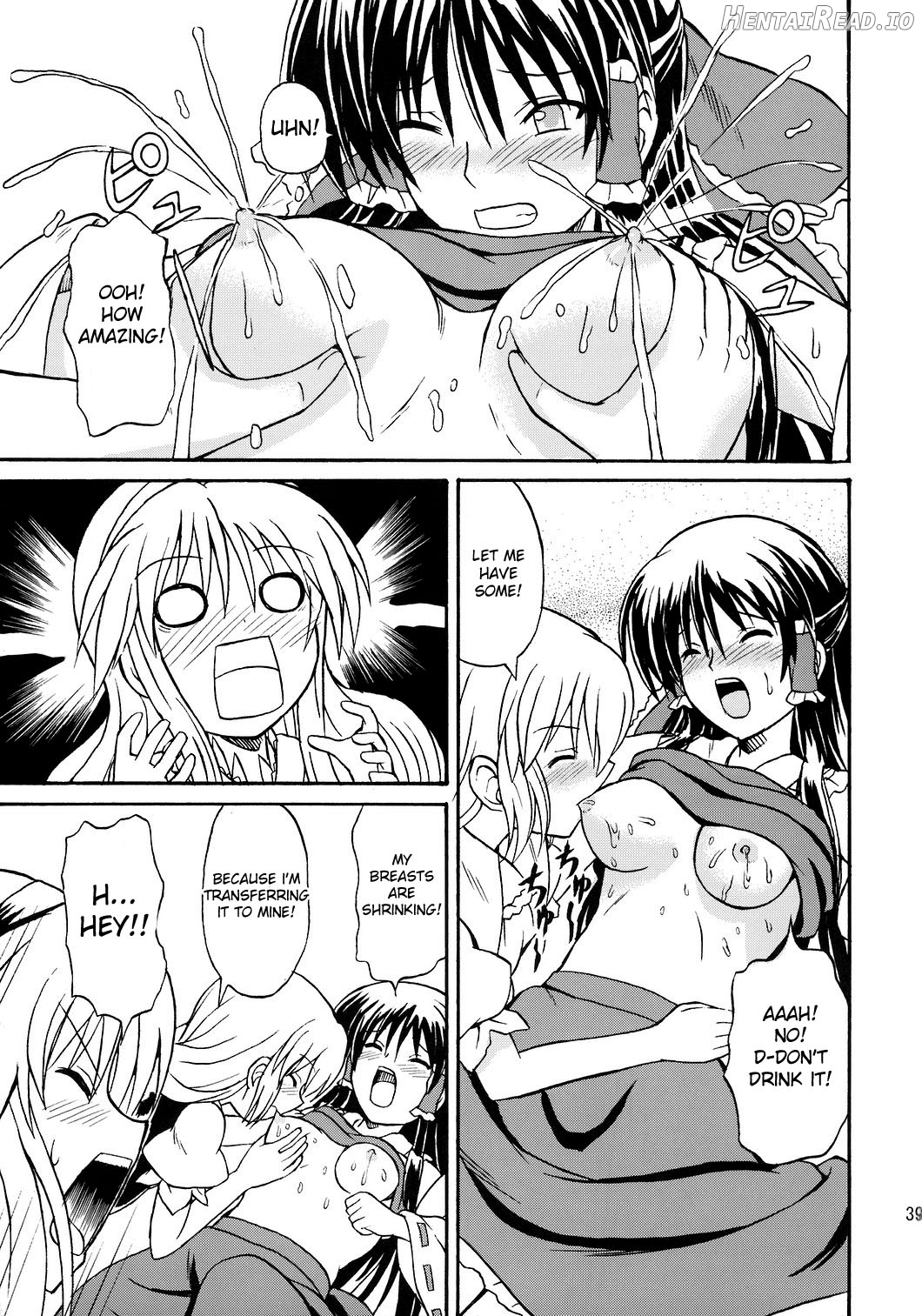 Touhou Youjo Ranbu Chapter 5 - page 38