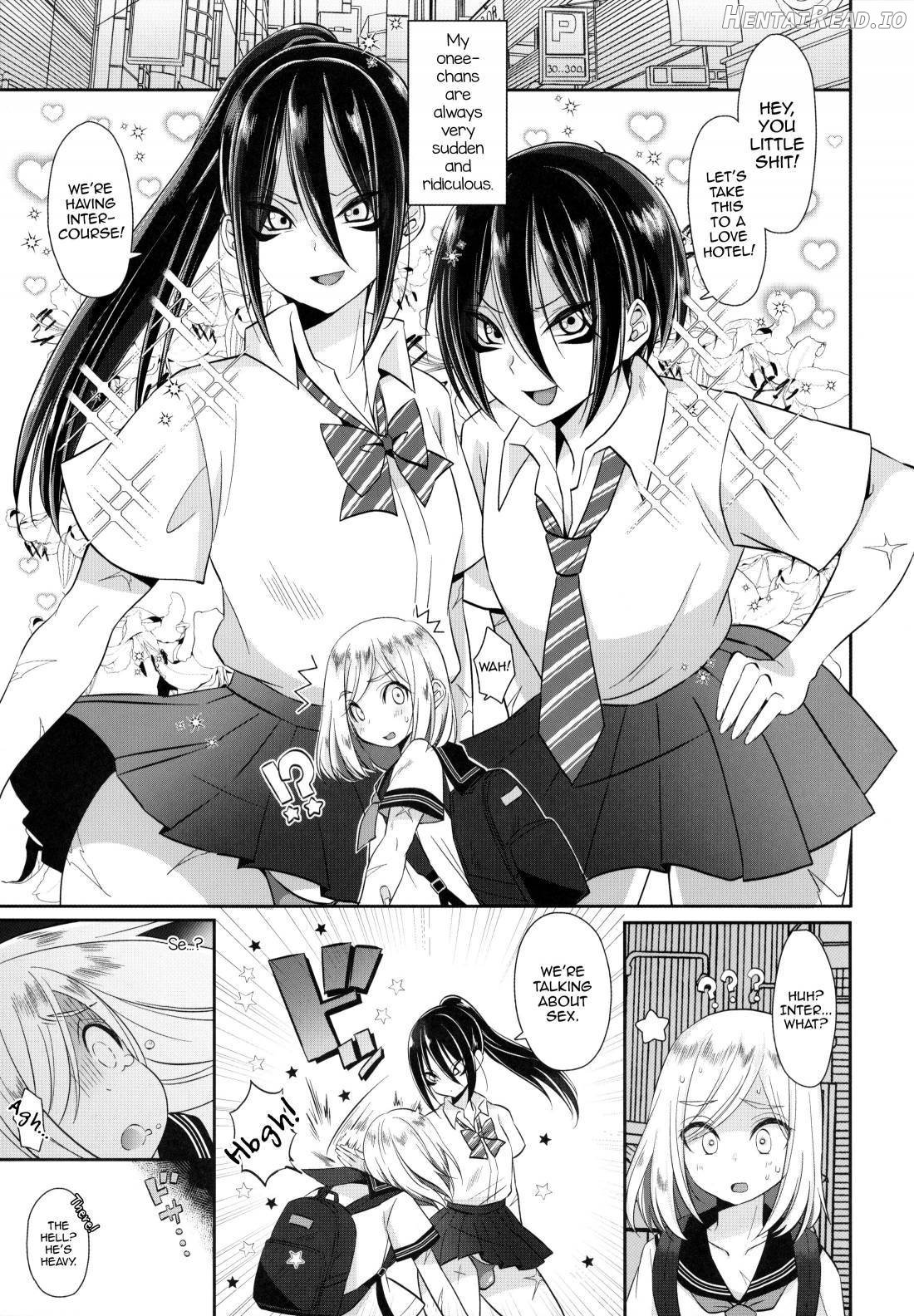 Onee-chan ♂ ni wa Kanawanaittsu Chapter 1 - page 3