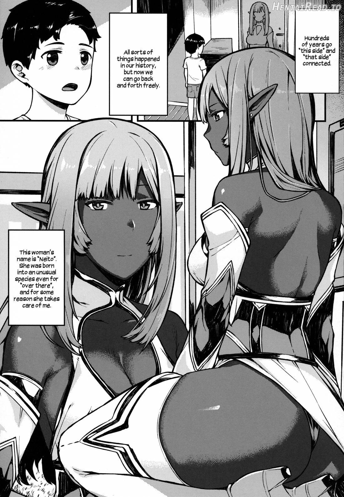 Isekai Series - Dark Elf no Neito Chapter 1 - page 2