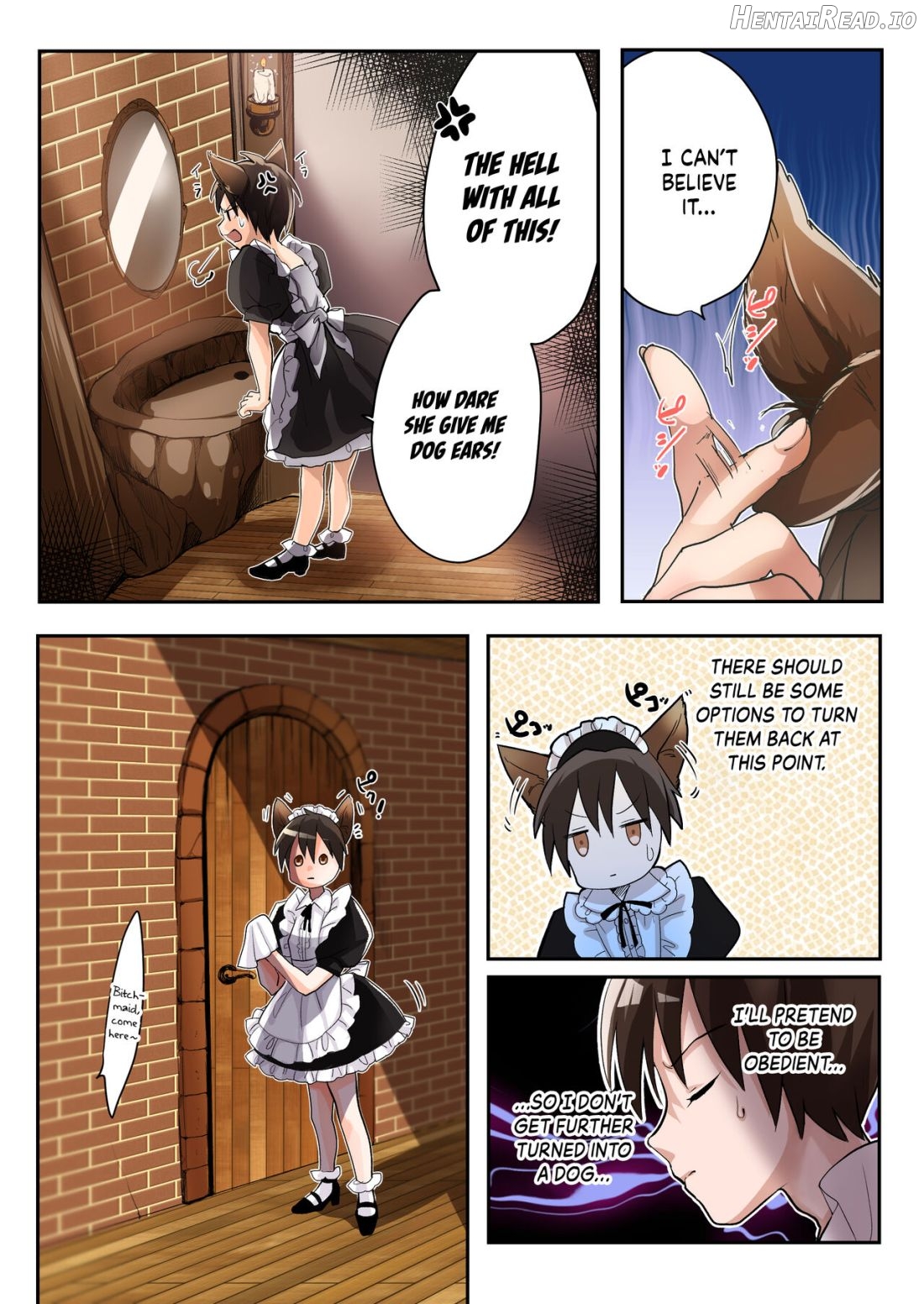 Yuusha no Ore wa TS Mesuinu Maid nanka ni wa Zettai ni Naranai! Chapter 1 - page 5