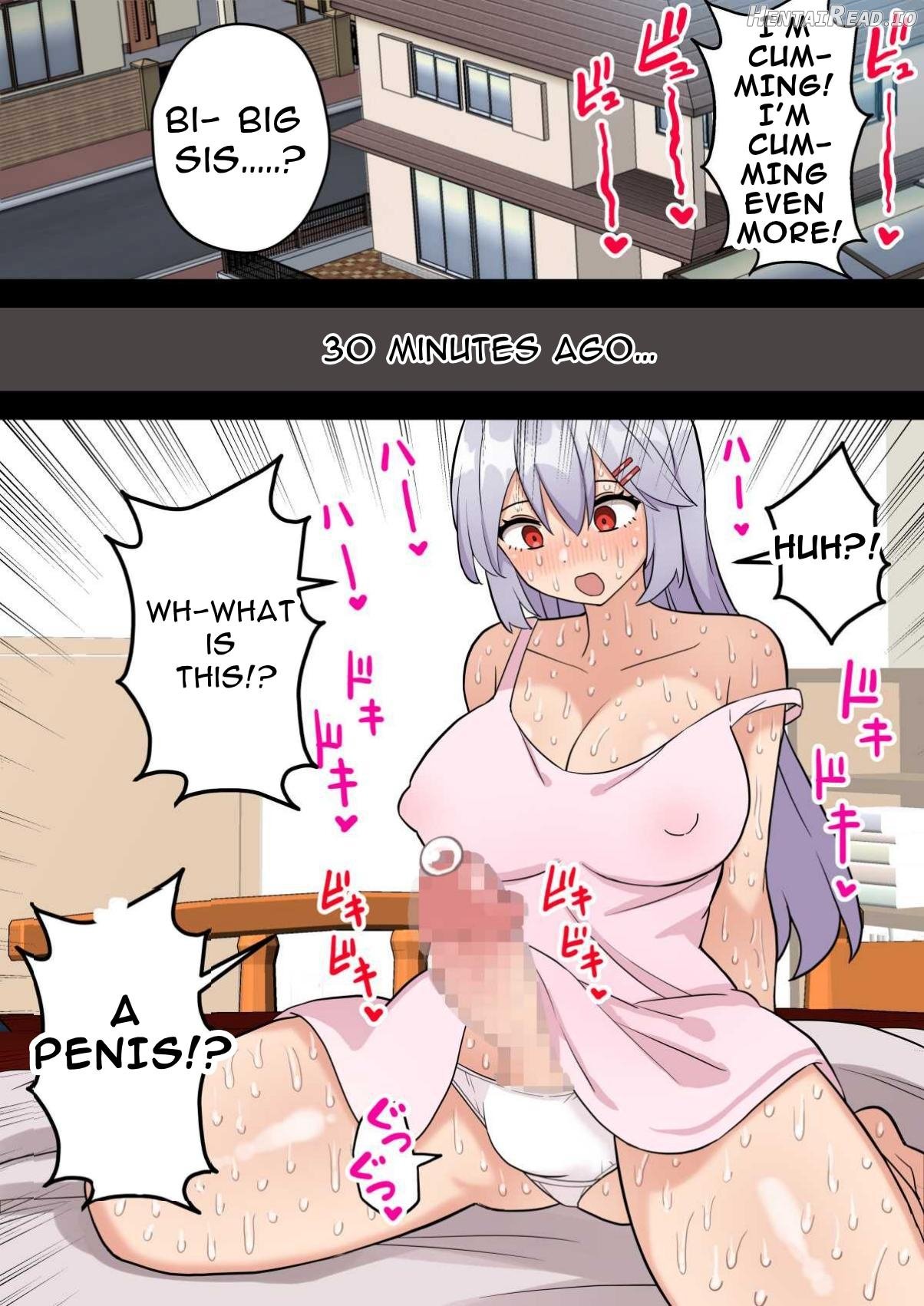 Imouto o Chinpo Case ni Suru Koutense Futanari Onee-chan no Hanashi Chapter 1 - page 6