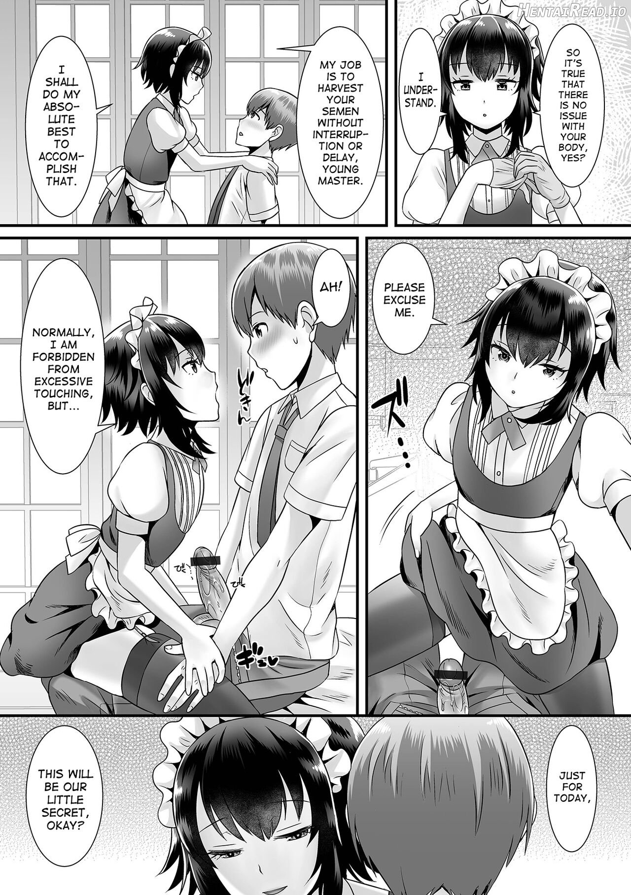 Seiki Sakushu Maid-san Oshigoto Desu Yo Chapter 1 - page 5