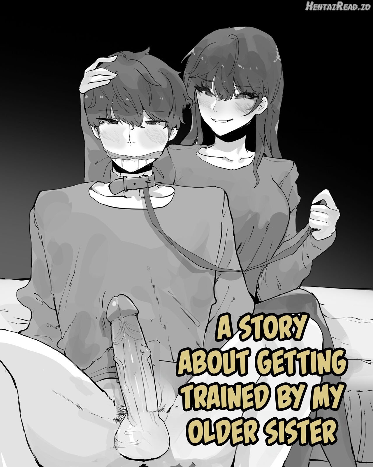 A Story About Getting Trained By My Older Sister Chapter 1 - page 1