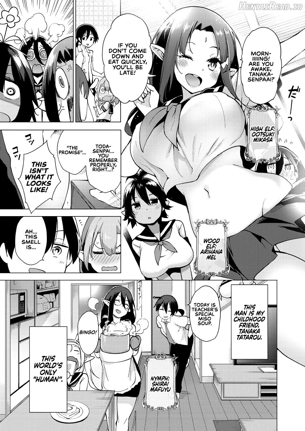 Yousei Harem Daibakuhatsu Chapter 1 - page 3