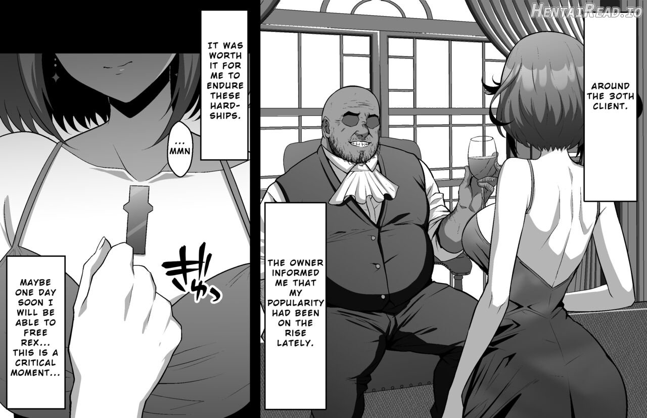 Torawareta Rex o Kaihou suru Jouken to shite Blade Fuuzoku de No.1 Jou o Mezasu Homura Chapter 1 - page 8