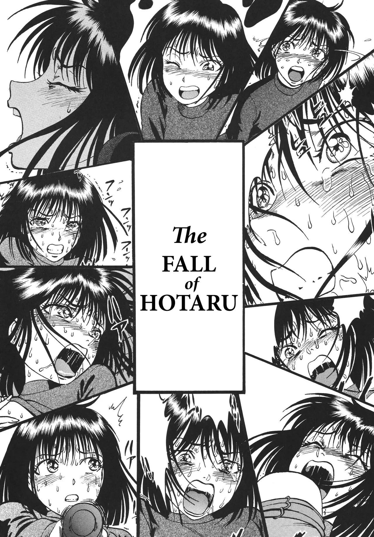 The Fall Of Hotaru Chapter 1 - page 3