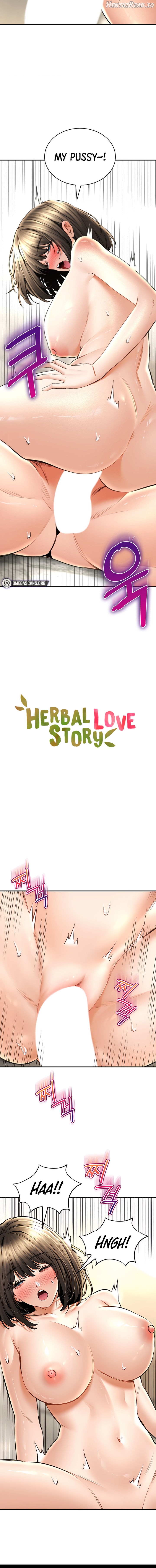 Herbal Love Story Chapter 75 - page 2